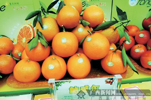 广西将试种10种水果 3年后市民可吃到更多