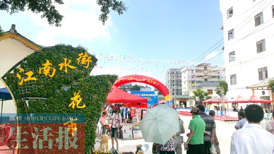 南宁市江南水街花市盛装试业 市民可赏花玩鸟(图)