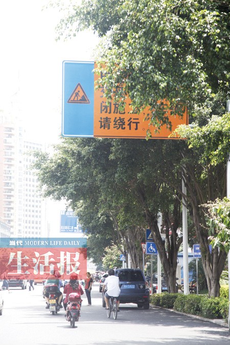 枝繁叶茂存隐患 南宁有多少交通标识在“躲猫猫”