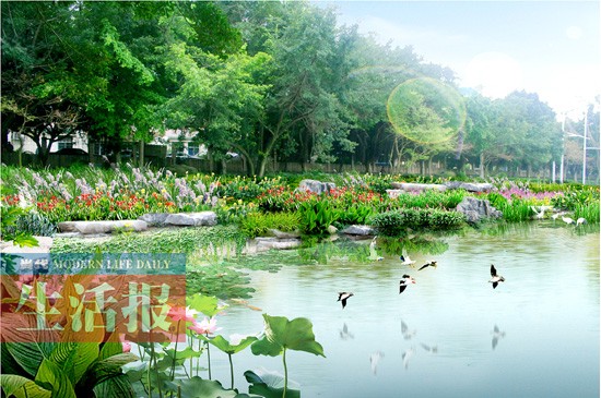 南湖在建“漂浮岛”预计“两会一节”前完工(图)
