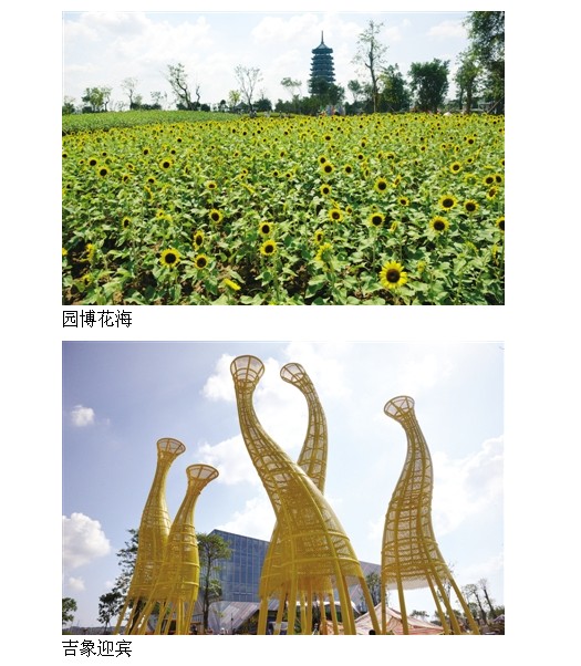 园艺博览会五象湖十八景让你看不停