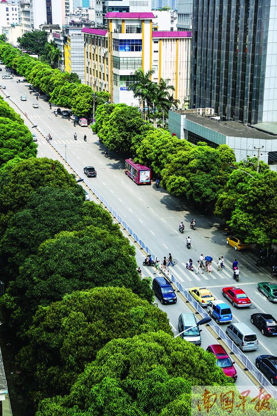 南宁民主路斑马线设置过密 建天桥需看人流量(图)