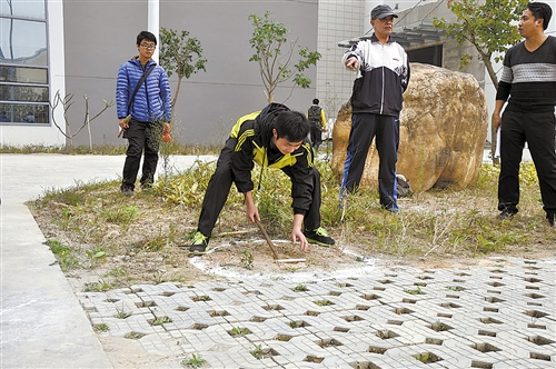 “壮族迪尺”将在南宁各小学推广